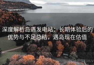 深度解析岛遇发电站：长期体验后的优势与不足总结，遇岛现在估值