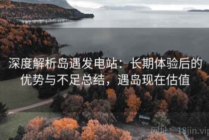 深度解析岛遇发电站：长期体验后的优势与不足总结，遇岛现在估值