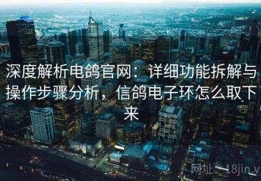 深度解析电鸽官网：详细功能拆解与操作步骤分析，信鸽电子环怎么取下来