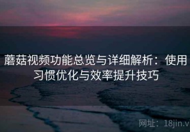 蘑菇视频功能总览与详细解析：使用习惯优化与效率提升技巧