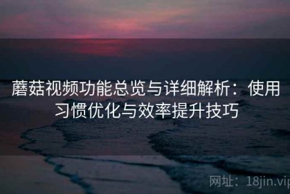 蘑菇视频功能总览与详细解析：使用习惯优化与效率提升技巧