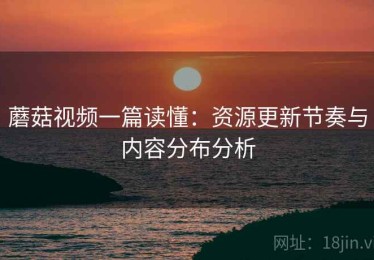 蘑菇视频一篇读懂：资源更新节奏与内容分布分析