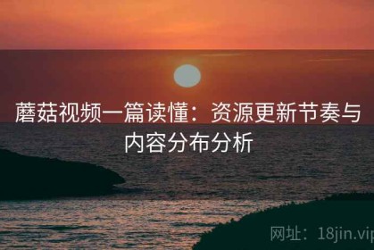蘑菇视频一篇读懂：资源更新节奏与内容分布分析