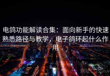 电鸽功能解读合集：面向新手的快速熟悉路径与教学，电子鸽环起什么作用