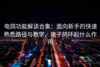 电鸽功能解读合集：面向新手的快速熟悉路径与教学，电子鸽环起什么作用