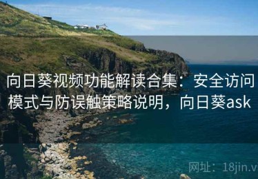 向日葵视频功能解读合集：安全访问模式与防误触策略说明，向日葵ask