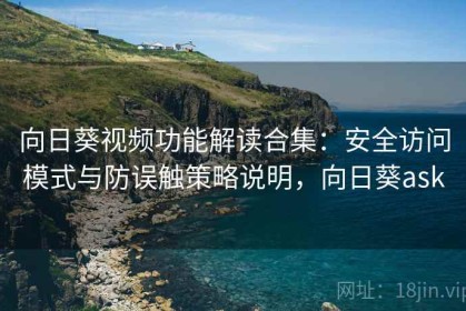 向日葵视频功能解读合集：安全访问模式与防误触策略说明，向日葵ask