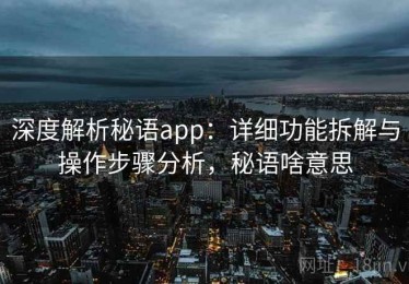 深度解析秘语app：详细功能拆解与操作步骤分析，秘语啥意思