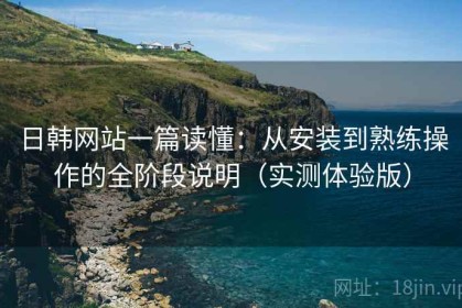 日韩网站一篇读懂：从安装到熟练操作的全阶段说明（实测体验版）