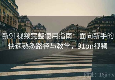 新91视频完整使用指南：面向新手的快速熟悉路径与教学，91pn视频