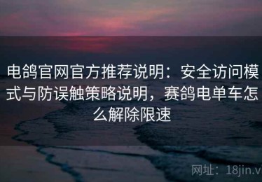 电鸽官网官方推荐说明：安全访问模式与防误触策略说明，赛鸽电单车怎么解除限速