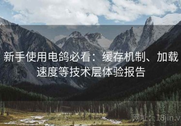 新手使用电鸽必看：缓存机制、加载速度等技术层体验报告