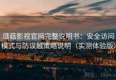 蘑菇影视官网完整说明书：安全访问模式与防误触策略说明（实测体验版）