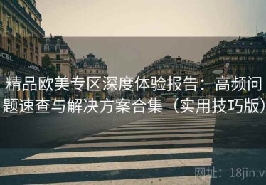 精品欧美专区深度体验报告：高频问题速查与解决方案合集（实用技巧版）