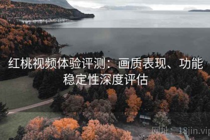 红桃视频体验评测：画质表现、功能稳定性深度评估