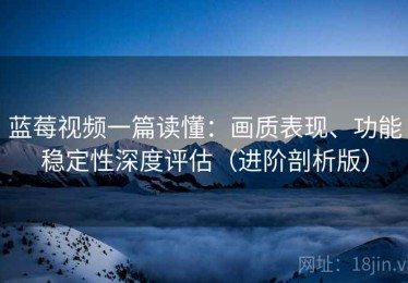 蓝莓视频一篇读懂：画质表现、功能稳定性深度评估（进阶剖析版）