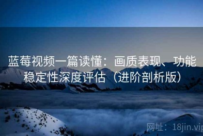 蓝莓视频一篇读懂：画质表现、功能稳定性深度评估（进阶剖析版）