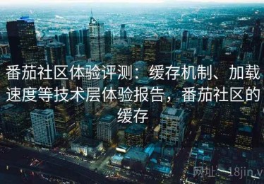 番茄社区体验评测：缓存机制、加载速度等技术层体验报告，番茄社区的缓存
