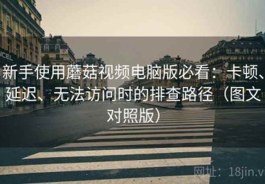 新手使用蘑菇视频电脑版必看：卡顿、延迟、无法访问时的排查路径（图文对照版）