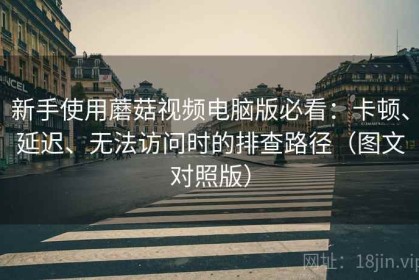 新手使用蘑菇视频电脑版必看：卡顿、延迟、无法访问时的排查路径（图文对照版）