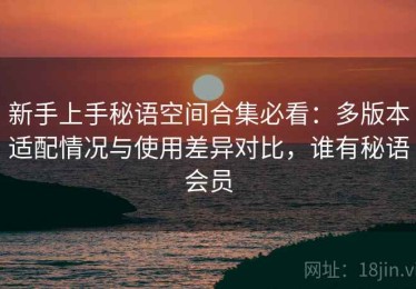 新手上手秘语空间合集必看：多版本适配情况与使用差异对比，谁有秘语会员