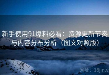 新手使用91爆料必看：资源更新节奏与内容分布分析（图文对照版）