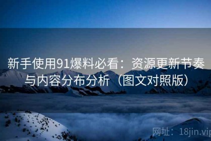 新手使用91爆料必看：资源更新节奏与内容分布分析（图文对照版）