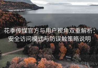 花季传媒官方与用户视角双重解析：安全访问模式与防误触策略说明