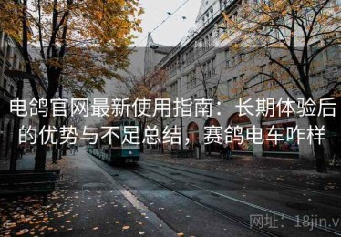 电鸽官网最新使用指南：长期体验后的优势与不足总结，赛鸽电车咋样