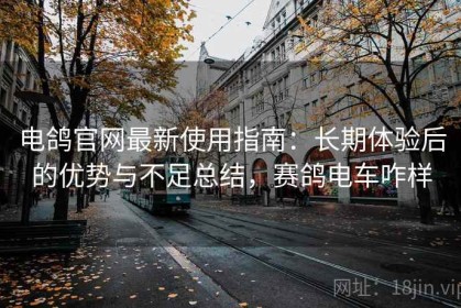 电鸽官网最新使用指南：长期体验后的优势与不足总结，赛鸽电车咋样