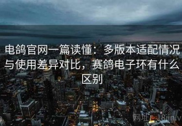 电鸽官网一篇读懂：多版本适配情况与使用差异对比，赛鸽电子环有什么区别