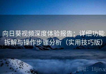 向日葵视频深度体验报告：详细功能拆解与操作步骤分析（实用技巧版）