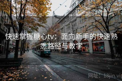 快速掌握糖心tv：面向新手的快速熟悉路径与教学
