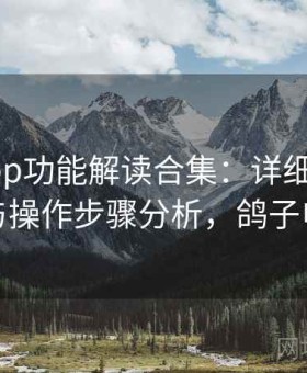 电鸽app功能解读合集：详细功能拆解与操作步骤分析，鸽子电脑