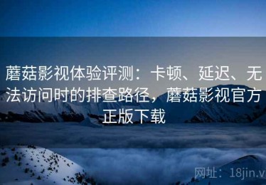 蘑菇影视体验评测：卡顿、延迟、无法访问时的排查路径，蘑菇影视官方正版下载