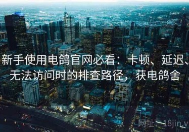 新手使用电鸽官网必看：卡顿、延迟、无法访问时的排查路径，获电鸽舍