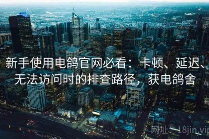 新手使用电鸽官网必看：卡顿、延迟、无法访问时的排查路径，获电鸽舍