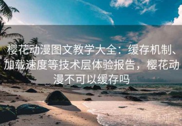 樱花动漫图文教学大全：缓存机制、加载速度等技术层体验报告，樱花动漫不可以缓存吗