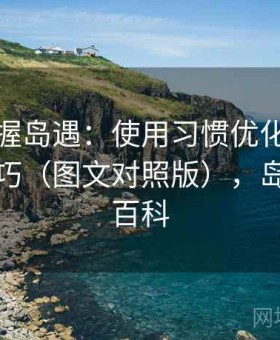 快速掌握岛遇：使用习惯优化与效率提升技巧（图文对照版），岛屿百度百科