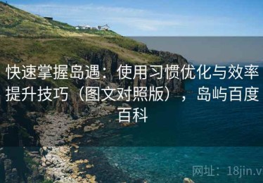 快速掌握岛遇：使用习惯优化与效率提升技巧（图文对照版），岛屿百度百科