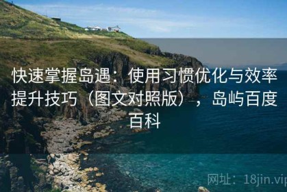 快速掌握岛遇：使用习惯优化与效率提升技巧（图文对照版），岛屿百度百科