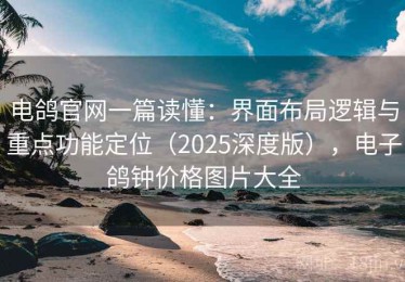电鸽官网一篇读懂：界面布局逻辑与重点功能定位（2025深度版），电子鸽钟价格图片大全