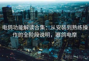 电鸽功能解读合集：从安装到熟练操作的全阶段说明，赛鸽电摩