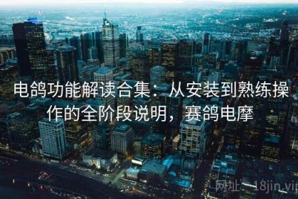 电鸽功能解读合集：从安装到熟练操作的全阶段说明，赛鸽电摩