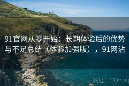 91官网从零开始：长期体验后的优势与不足总结（体验加强版），91网沾