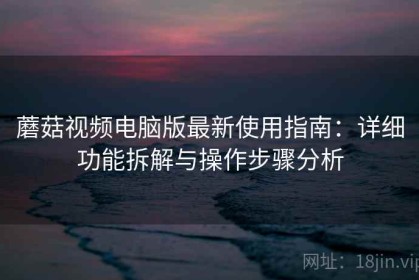蘑菇视频电脑版最新使用指南：详细功能拆解与操作步骤分析