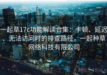 一起草17c功能解读合集：卡顿、延迟、无法访问时的排查路径，一起种草网络科技有限公司