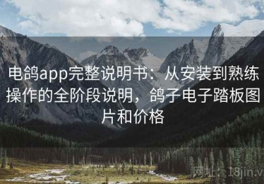 电鸽app完整说明书：从安装到熟练操作的全阶段说明，鸽子电子踏板图片和价格