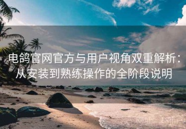 电鸽官网官方与用户视角双重解析：从安装到熟练操作的全阶段说明