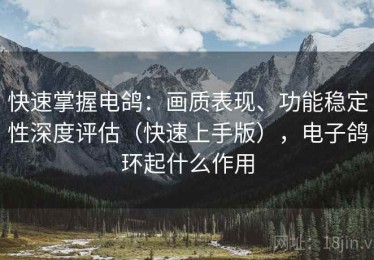 快速掌握电鸽：画质表现、功能稳定性深度评估（快速上手版），电子鸽环起什么作用